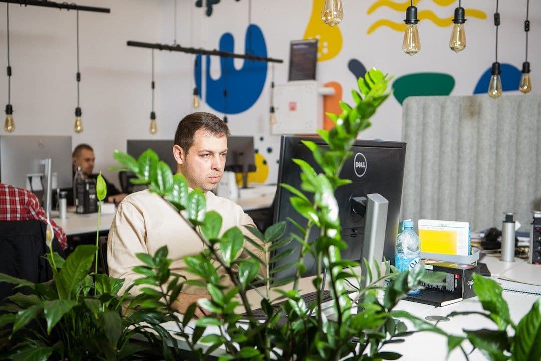 How to start a freelance career?